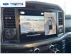 2025 Ford F-150 XLT (Stk: SKD95219) in Wallaceburg - Image 17 of 26