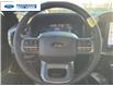 2025 Ford F-150 XLT (Stk: SKE00282) in Wallaceburg - Image 14 of 25