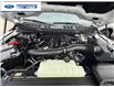 2025 Ford F-150 XLT (Stk: SKF26500) in Wallaceburg - Image 25 of 25