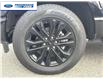 2025 Ford F-150 XLT (Stk: SKE83110) in Wallaceburg - Image 10 of 25