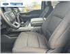 2025 Ford F-150 XLT (Stk: SKE83110) in Wallaceburg - Image 11 of 25