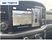 2025 Ford F-150 XLT (Stk: SKE83110) in Wallaceburg - Image 17 of 25
