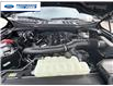 2025 Ford F-150 XLT (Stk: SKE83110) in Wallaceburg - Image 25 of 25