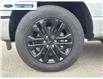 2025 Ford F-150 XLT (Stk: SKF08213) in Wallaceburg - Image 10 of 25