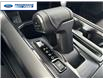 2025 Ford F-150 XLT (Stk: SKF08213) in Wallaceburg - Image 20 of 25