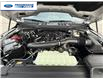 2025 Ford F-150 XLT (Stk: SKF08213) in Wallaceburg - Image 25 of 25