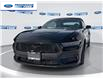 2026 Ford Mustang EcoBoost (Stk: T5111677) in Wallaceburg - Image 1 of 24