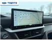 2026 Ford Explorer Platinum (Stk: TGA82751) in Wallaceburg - Image 18 of 27
