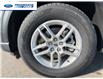 2026 Ford Explorer Active (Stk: TGA83499) in Wallaceburg - Image 10 of 26