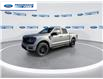 2025 Ford F-150 STX (Stk: SKF31950) in Wallaceburg - Image 4 of 24
