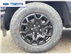 2026 Ford F-150 XLT (Stk: TFA36587) in Wallaceburg - Image 10 of 25