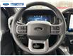 2026 Ford F-150 XLT (Stk: TFA36587) in Wallaceburg - Image 14 of 25