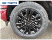 2026 Ford F-150 XLT (Stk: TFA48610) in Wallaceburg - Image 10 of 25
