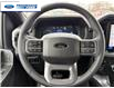 2026 Ford F-150 XLT (Stk: TFA48610) in Wallaceburg - Image 14 of 25