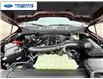 2026 Ford F-150 XLT (Stk: TFA48610) in Wallaceburg - Image 25 of 25