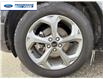 2024 Ford Escape ST-Line (Stk: RUA29181L) in Wallaceburg - Image 10 of 25 2024 Ford Escape ST-Line (Stk: RUA29181L) in Wallaceburg - Image 10 of 25