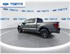 2026 Ford F-150 Tremor (Stk: TFA42118) in Wallaceburg - Image 6 of 25