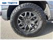 2026 Ford F-150 Tremor (Stk: TFA42118) in Wallaceburg - Image 10 of 25