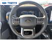 2026 Ford F-150 Tremor (Stk: TFA42118) in Wallaceburg - Image 14 of 25