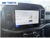 2026 Ford F-150 Tremor (Stk: TFA42118) in Wallaceburg - Image 16 of 25