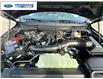 2026 Ford F-150 Tremor (Stk: TFA42118) in Wallaceburg - Image 25 of 25