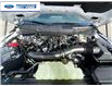 2026 Ford F-150 XLT (Stk: TFA43776) in Wallaceburg - Image 25 of 25
