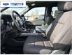 2026 Ford F-150 XLT (Stk: TFA49450) in Wallaceburg - Image 11 of 25