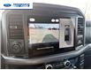 2026 Ford F-150 XLT (Stk: TFA49450) in Wallaceburg - Image 17 of 25