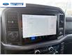 2026 Ford F-150 XLT (Stk: TFA49450) in Wallaceburg - Image 18 of 25