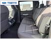 2026 Ford F-150 XLT (Stk: TFA49450) in Wallaceburg - Image 22 of 25