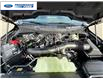 2026 Ford F-150 XLT (Stk: TFA49450) in Wallaceburg - Image 25 of 25