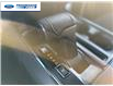 2026 Ford F-150 XLT (Stk: TFA47300) in Wallaceburg - Image 20 of 26