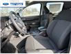 2026 Ford Ranger XL (Stk: TLE09463) in Wallaceburg - Image 11 of 24