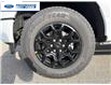 2026 Ford F-150 XLT (Stk: TKD54951) in Wallaceburg - Image 10 of 24