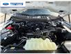 2026 Ford F-150 XLT (Stk: TKD54951) in Wallaceburg - Image 24 of 24