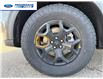 2026 Ford Explorer Tremor (Stk: TGB02714) in Wallaceburg - Image 10 of 27