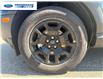 2026 Ford Bronco Sport Big Bend (Stk: TRE09036) in Wallaceburg - Image 10 of 24