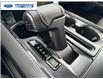 2026 Ford F-150 XLT (Stk: TKD60414) in Wallaceburg - Image 19 of 24