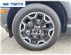 2026 Ford Bronco Sport Outer Banks (Stk: TRE18717) in Wallaceburg - Image 10 of 26