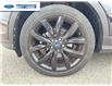 2018 Ford Escape SE (Stk: JUA01153T) in Wallaceburg - Image 10 of 25