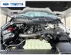 2026 Ford F-150 XLT (Stk: TKD40305) in Wallaceburg - Image 25 of 25