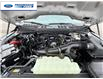 2026 Ford F-150 STX (Stk: TKD29031) in Wallaceburg - Image 24 of 24