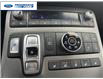 2020 Hyundai Palisade Ultimate 7 Passenger (Stk: LU161631T) in Wallaceburg - Image 19 of 26
