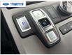 2020 Hyundai Palisade Ultimate 7 Passenger (Stk: LU161631T) in Wallaceburg - Image 20 of 26