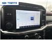 2022 Ford F-150 Lariat (Stk: NFB53721T) in Wallaceburg - Image 4 of 11