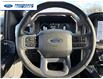 2023 Ford F-150 Lariat (Stk: PFC83534T) in Wallaceburg - Image 13 of 25