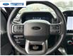 2024 Ford F-150 XLT (Stk: RKF42389T) in Wallaceburg - Image 11 of 20