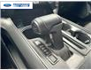 2024 Ford F-150 XLT (Stk: RKF42389T) in Wallaceburg - Image 17 of 20
