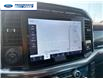 2023 Ford F-150 Lariat (Stk: PFC83534T) in Wallaceburg - Image 17 of 25