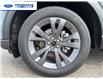 2026 Ford Explorer Active (Stk: TGB34722) in Wallaceburg - Image 10 of 26
